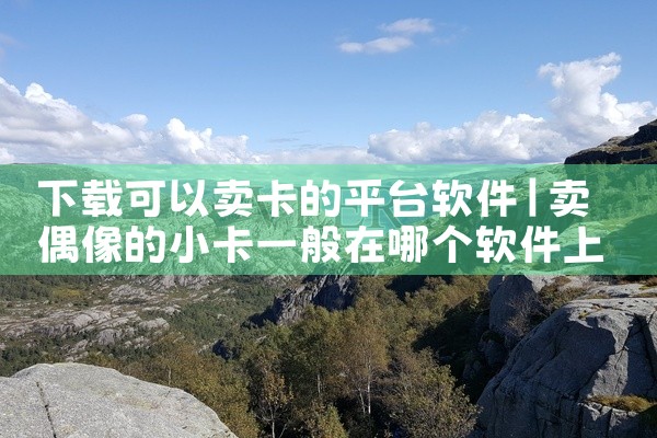 下载可以卖卡的平台软件