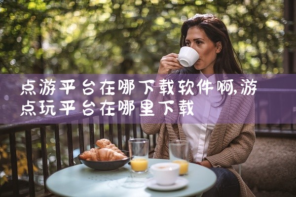 点游平台在哪下载软件啊