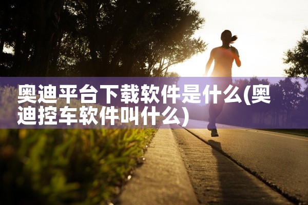 奥迪平台下载软件是什么