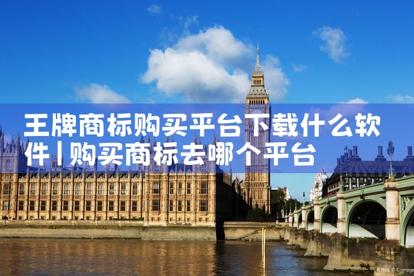 王牌商标购买平台下载什么软件