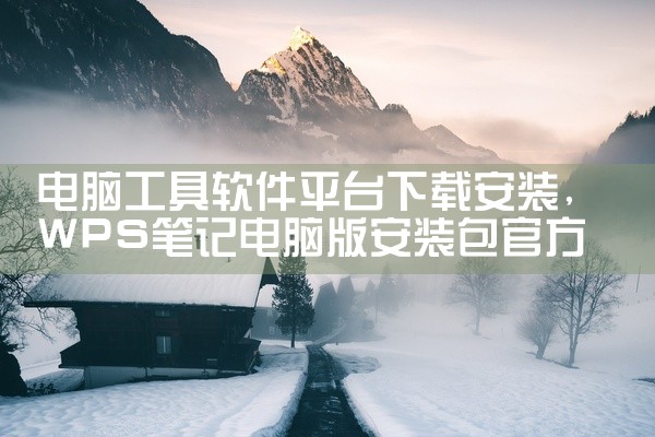 电脑工具软件平台下载安装
