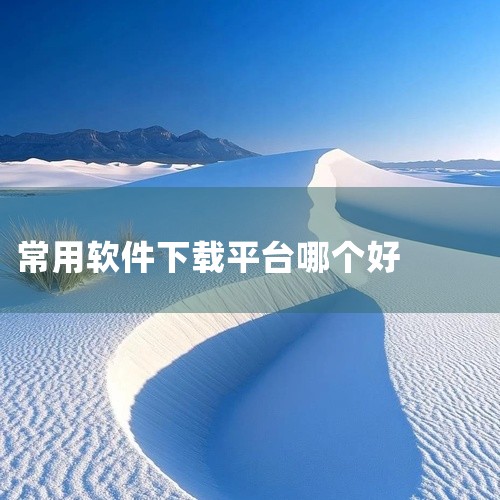 好用的软件下载平台因电脑端和安卓端而异，以下分别介绍：电脑端腾讯软件中心：腾讯旗下，资源丰富，涵盖办公、娱乐等各类型软件。操作便捷，界面简洁，搜索功能强大，能快速定位软件。腾讯强大的安全防护体系为软件|