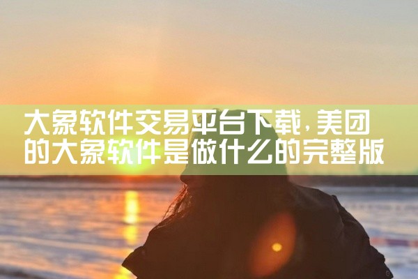 大象软件交易平台下载