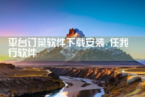 平台订菜软件下载安装