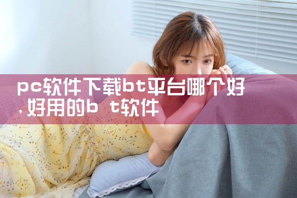 pc软件下载bt平台哪个好