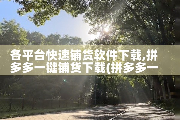 各平台快速铺货软件下载
