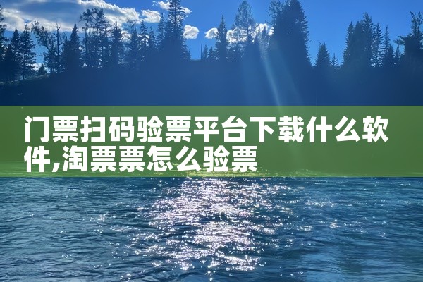 门票扫码验票平台下载什么软件