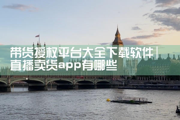 带货授权平台大全下载软件