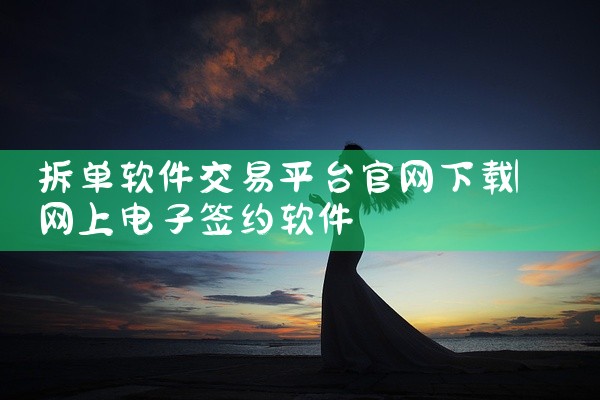 拆单软件交易平台官网下载