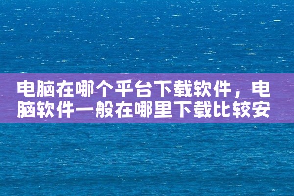 电脑在哪个平台下载软件