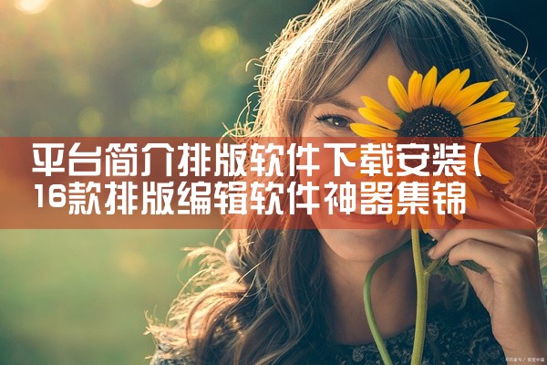 平台简介排版软件下载安装