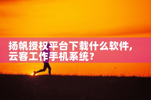 扬帆授权平台下载什么软件